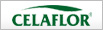Celaflor